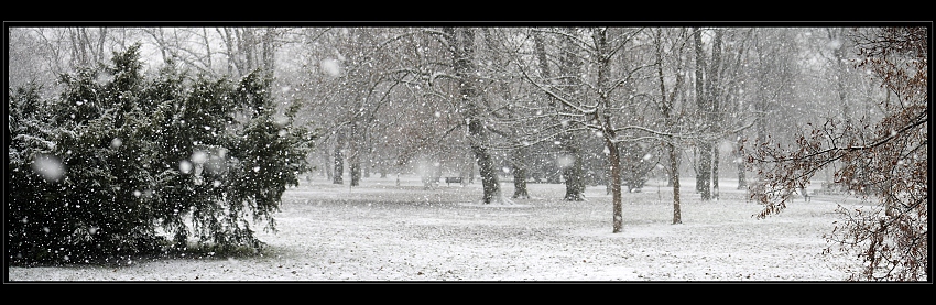 Bez tebe není zima zimou.