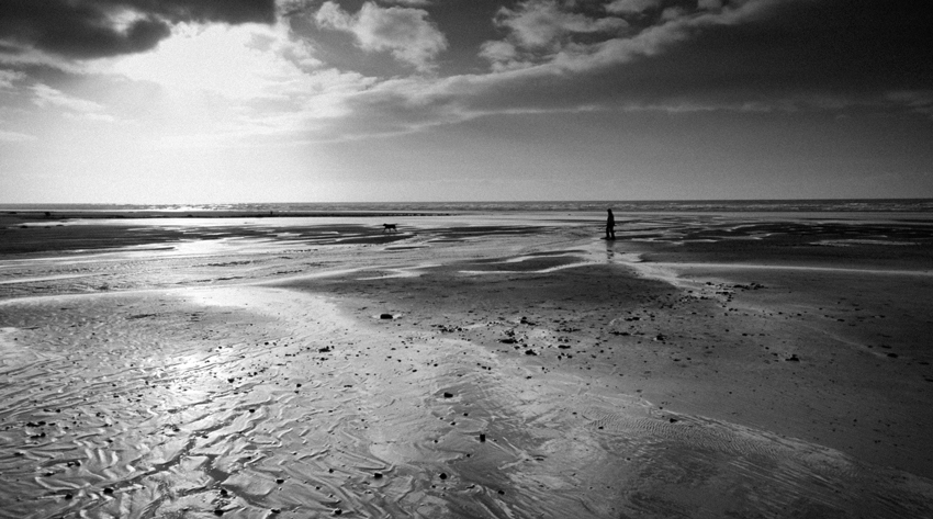 Seascale