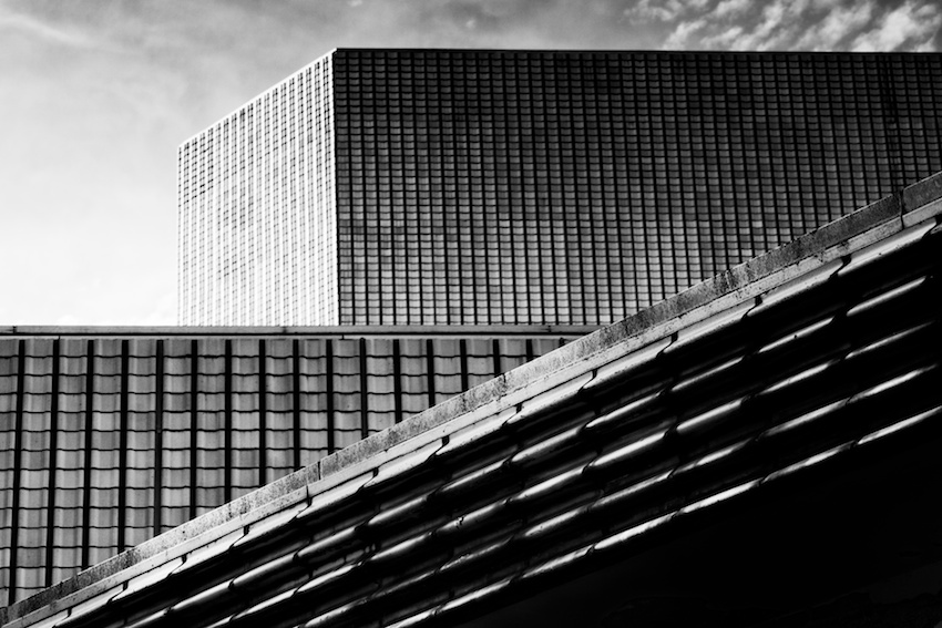 Svinskej reprocess 1