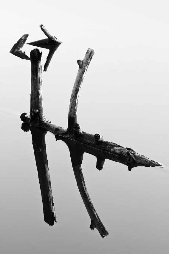 Ukazatel mistra Dalího