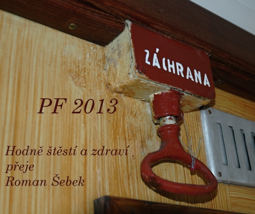 PF 2013