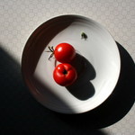 zátišie bez názvu  (rajčiny)