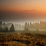 Podzimní ráno, Pstruží