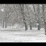 Bez tebe není zima zimou.