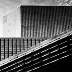 Svinskej reprocess 1