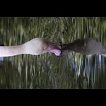 Hvězdná brána ...