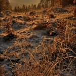 První sníh v Beskydech