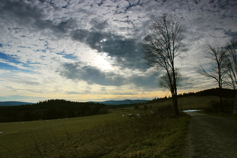 Sumava I.