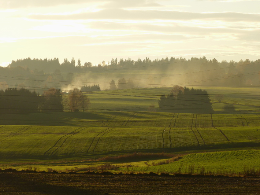 Svázaná krajina
