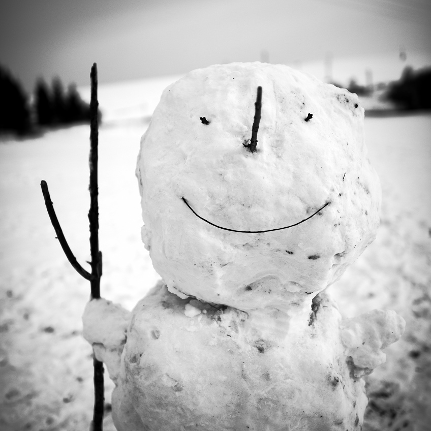 Sníh