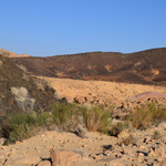 ..negevska poušť..