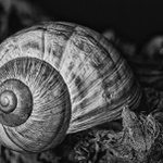 Záhradná chatka na prenájom