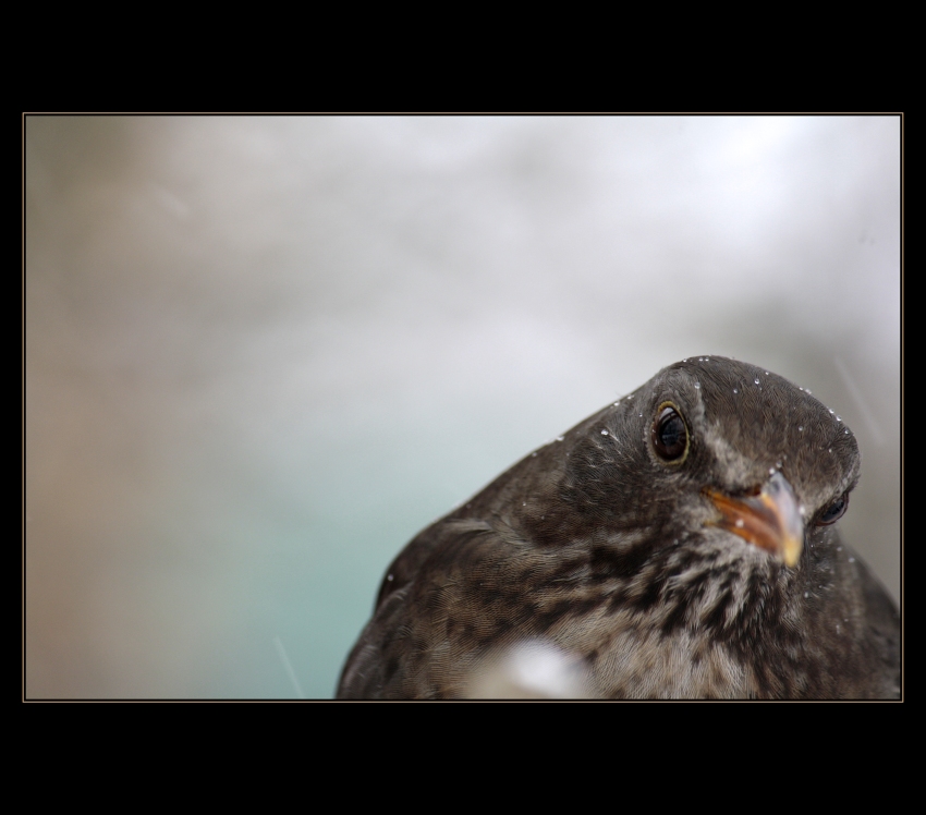 Co na mě tak vejráš.