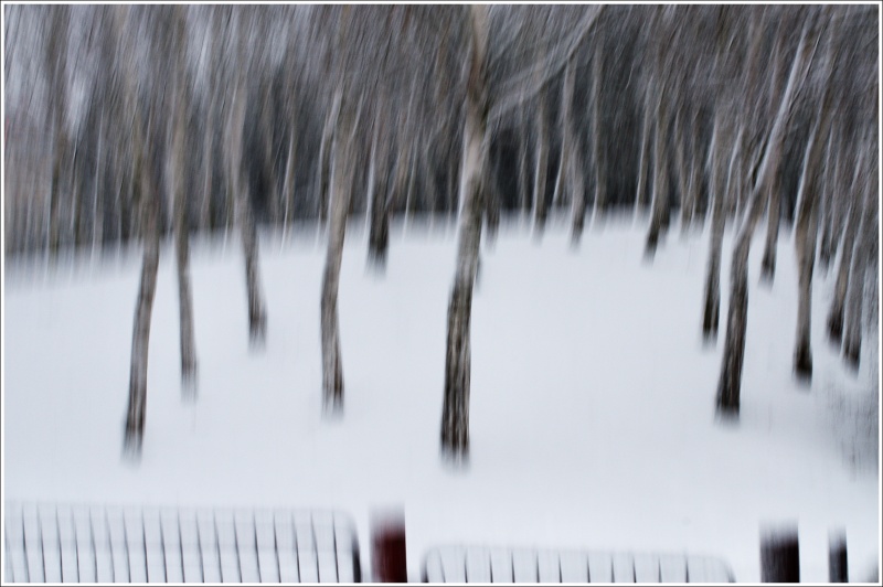 Do březového háje....