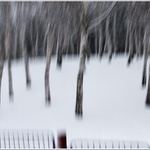 Do březového háje....