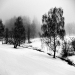 MoML 19. února 2013