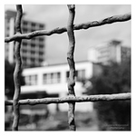 V šedi paneláků IV.