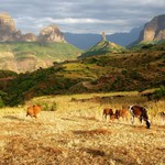 Krajina s kravičkami