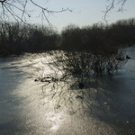 loučení se zimou II