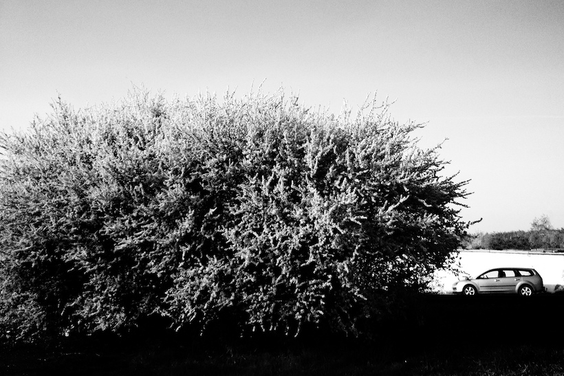 jaro ve městě