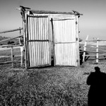 Nesmělý pokus o autoportrét v ohradě na dobytek