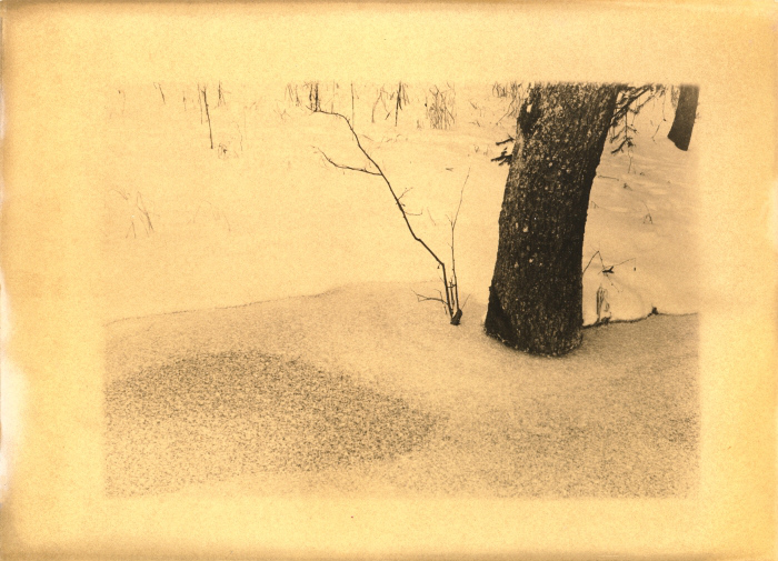 Ve struhách II.