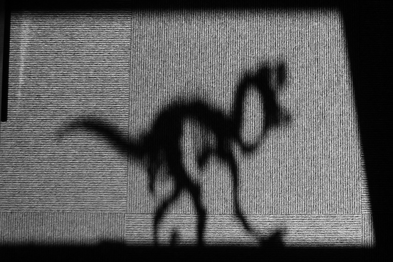 ruzovy t-rex