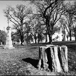 Na Antoníčku III ...