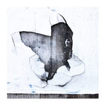 jak se líhne rarášek