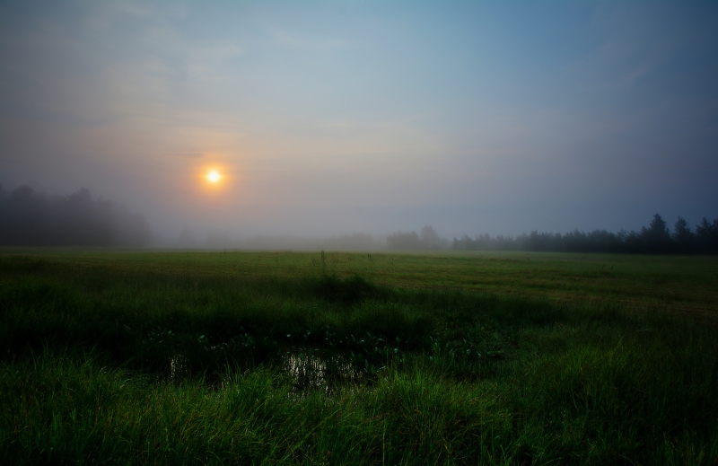 Trochu smutné ráno