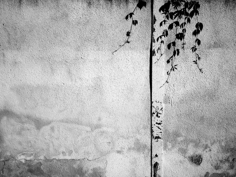 MoML 16. července 2013