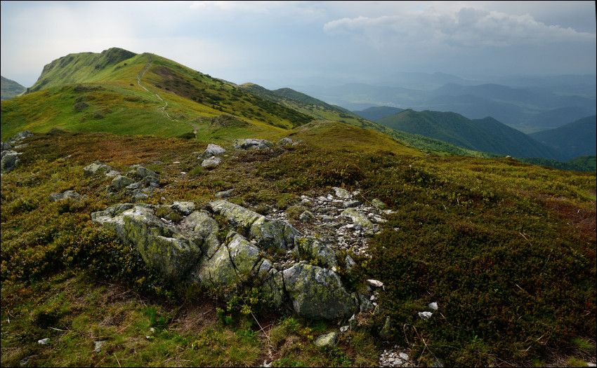 Fatra