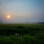 Trochu smutné ráno