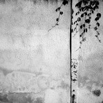 MoML 16. července 2013