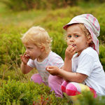 Princezny na boruvkach