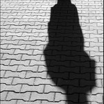 Chodníkovka - dlažbovka