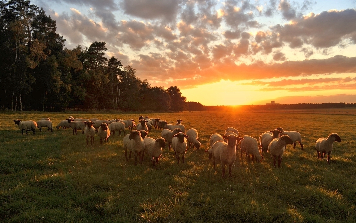 Podvečerní setkání