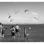 I-bezstarostnost mládí