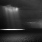 ... přistávají ...