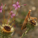 No tak si foť .. no ..