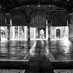 Rybi trh bez ryb ...