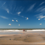 Středoví psi a rozptýlené ptactvo