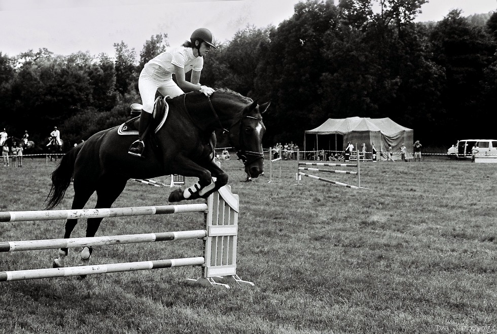 hop! II
