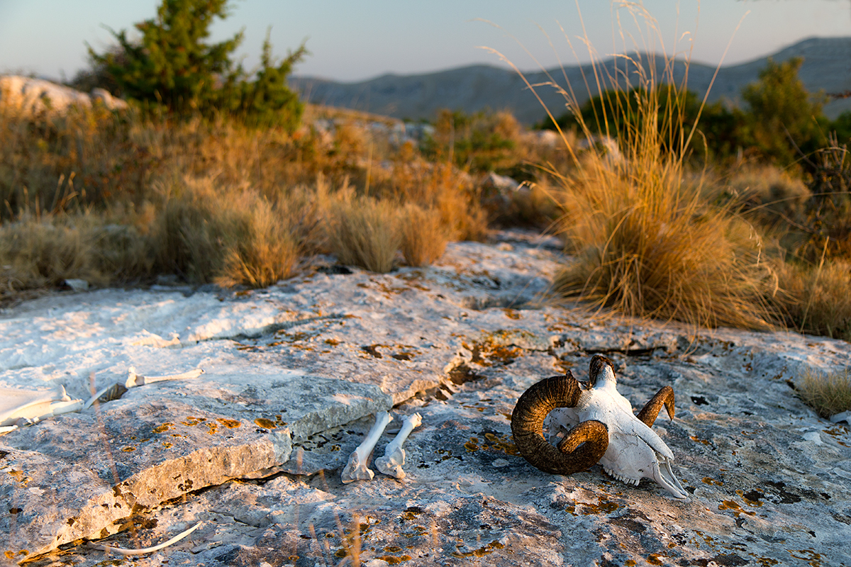 Poslední pohled na západ slunce