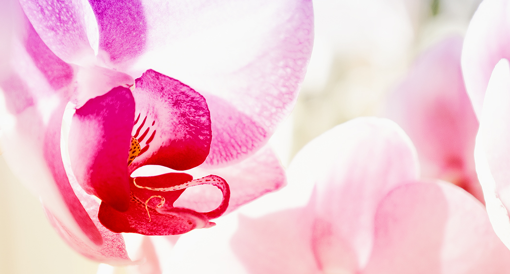 ... test ...
