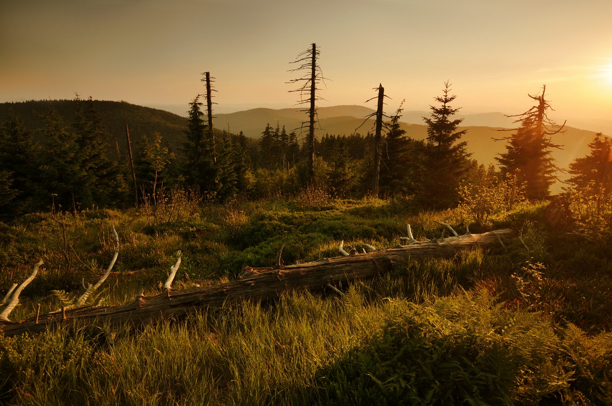 Cesta do pravěku, Kněhyně, Beskydy