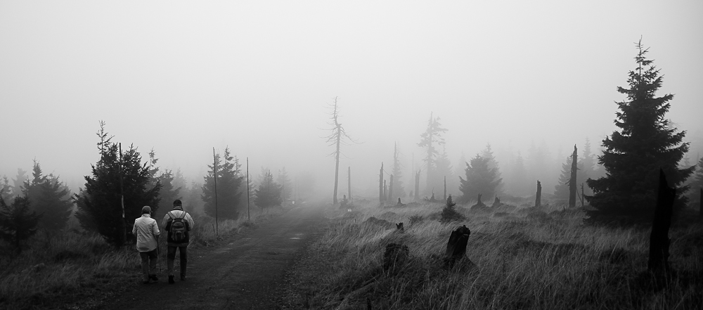  Long Way ...