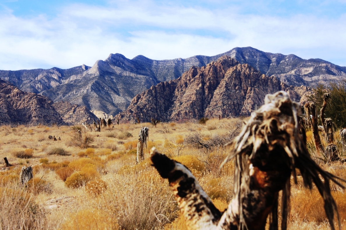 just outside Las vegas