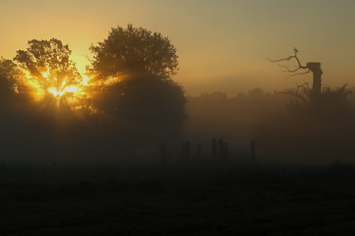 svítání 2