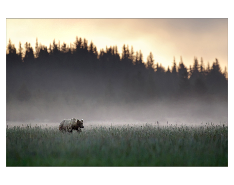 Dobré jitro Aljaško